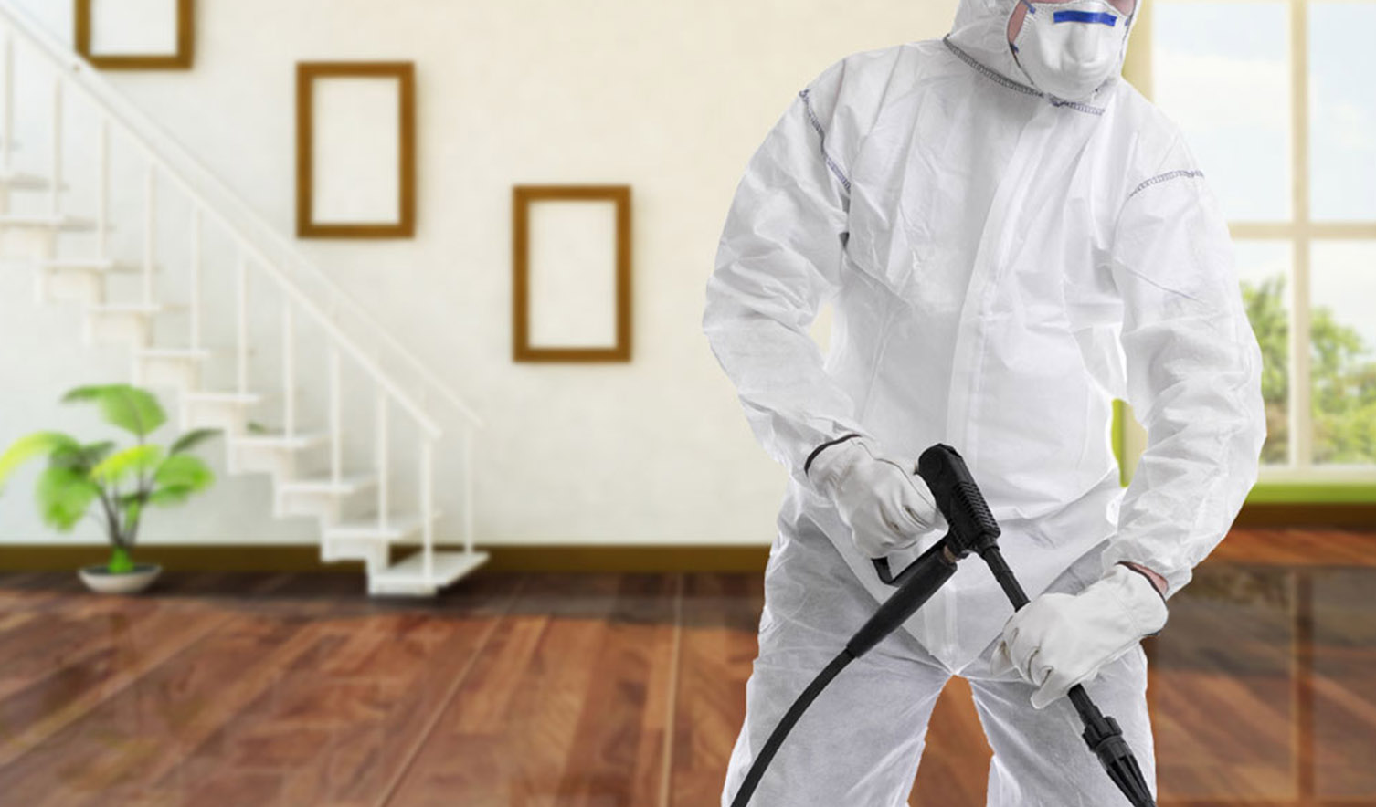 Pest control Services 